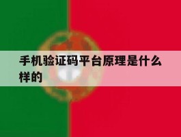 手机验证码平台原理是什么样的