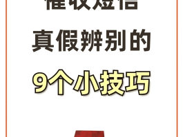 如何收短信验证码的钱
