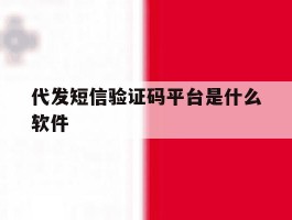 代发短信验证码平台是什么软件