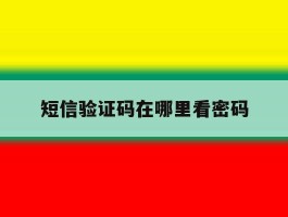 短信验证码在哪里看密码