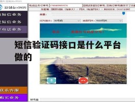 短信验证码接口是什么平台做的