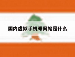 国内虚拟手机号网站是什么