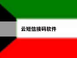 云短信接码软件