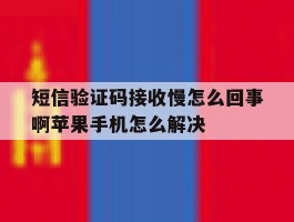 关于短信验证码接收慢怎么回事啊苹果手机怎么解决的信息