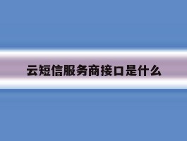 云短信服务商接口是什么