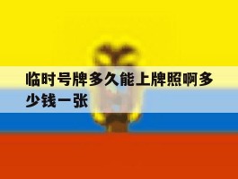临时号牌多久能上牌照啊多少钱一张
