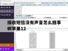 关于接收短信没有声音怎么回事啊苹果12的信息