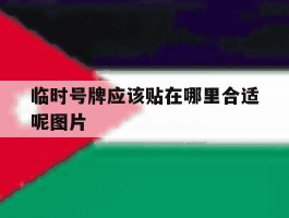 临时号牌应该贴在哪里合适呢图片