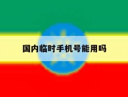 国内临时手机号能用吗