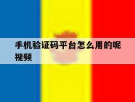 手机验证码平台怎么用的呢视频