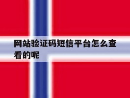 网站验证码短信平台怎么查看的呢