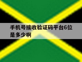 手机号接收验证码平台6位是多少啊