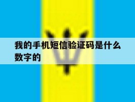 我的手机短信验证码是什么数字的
