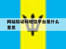 网站验证码短信平台是什么意思