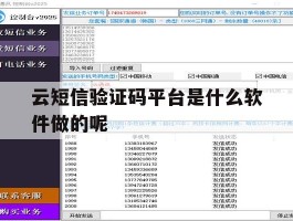 云短信验证码平台是什么软件做的呢