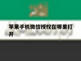 苹果手机微信授权在哪里打开