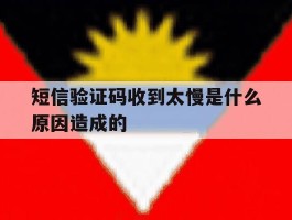 短信验证码收到太慢是什么原因造成的