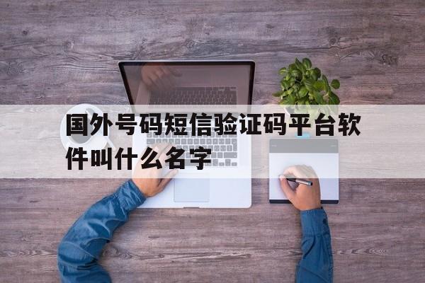 国外号码短信验证码平台软件叫什么名字的简单介绍 国外号码短信验证码平台软件叫什么名字的简单介绍