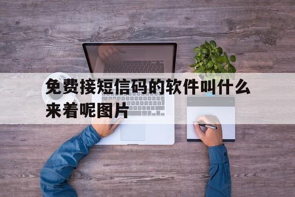 免费接短信码的软件叫什么来着呢图片 免费接短信码的软件叫什么来着呢图片