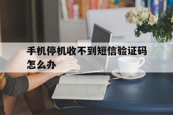 手机停机收不到短信验证码怎么办 手机停机收不到短信验证码怎么办