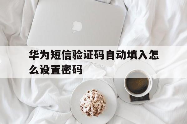 华为短信验证码自动填入怎么设置密码 华为短信验证码自动填入怎么设置密码