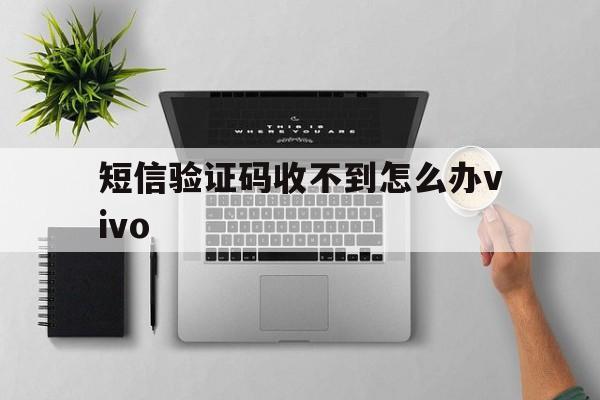 短信验证码收不到怎么办vivo 短信验证码收不到怎么办vivo