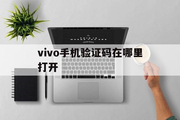 vivo手机验证码在哪里打开 vivo手机验证码在哪里打开