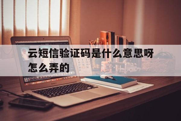 云短信验证码是什么意思呀怎么弄的 云短信验证码是什么意思呀怎么弄的