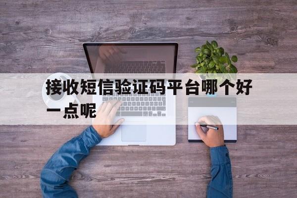 接收短信验证码平台哪个好一点呢 接收短信验证码平台哪个好一点呢