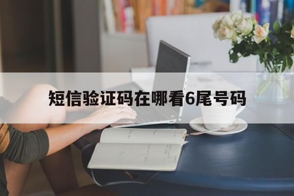 短信验证码在哪看6尾号码 短信验证码在哪看6尾号码