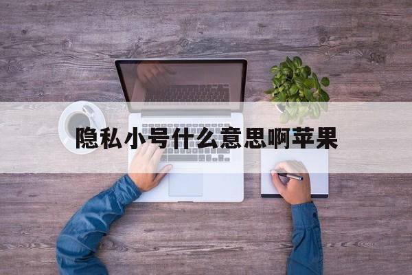 隐私小号什么意思啊苹果 隐私小号什么意思啊苹果
