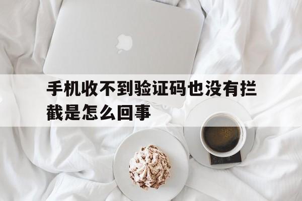 手机收不到验证码也没有拦截是怎么回事 手机收不到验证码也没有拦截是怎么回事