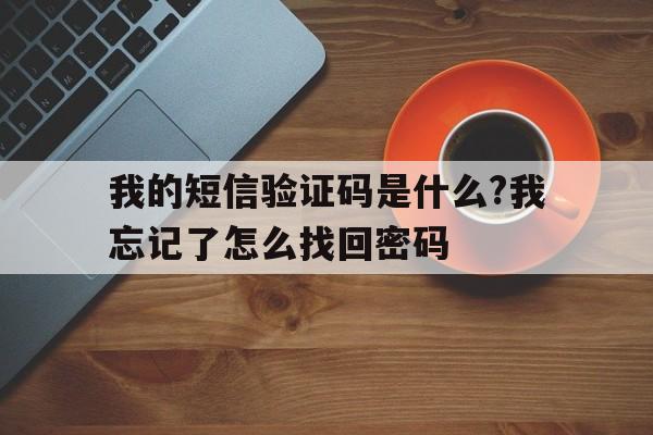 我的短信验证码是什么?我忘记了怎么找回密码 我的短信验证码是什么?我忘记了怎么找回密码