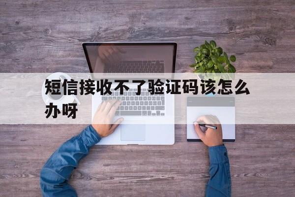 短信接收不了验证码该怎么办呀 短信接收不了验证码该怎么办呀