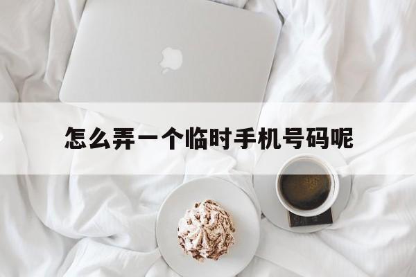 怎么弄一个临时手机号码呢 怎么弄一个临时手机号码呢