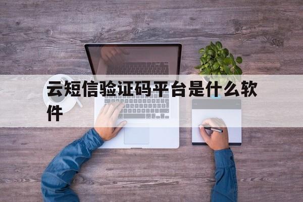 云短信验证码平台是什么软件 云短信验证码平台是什么软件