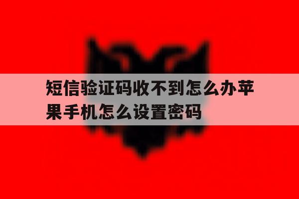 短信验证码收不到怎么办苹果手机怎么设置密码的简单介绍 短信验证码收不到怎么办苹果手机怎么设置密码的简单介绍