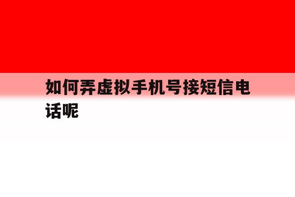 如何弄虚拟手机号接短信电话呢 如何弄虚拟手机号接短信电话呢
