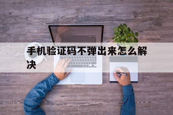 手机验证码不弹出来怎么解决 手机验证码不弹出来怎么解决