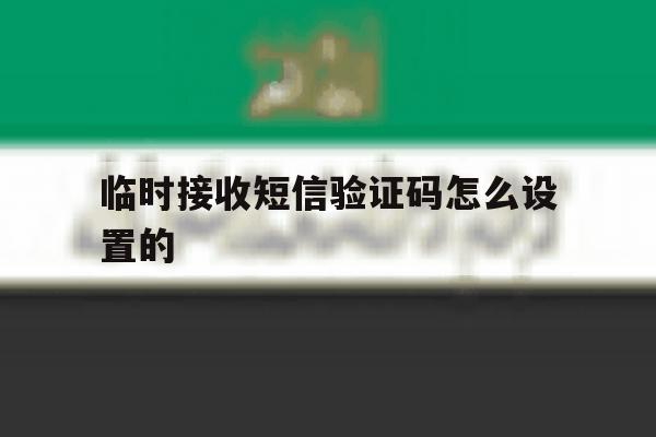 临时接收短信验证码怎么设置的 临时接收短信验证码怎么设置的