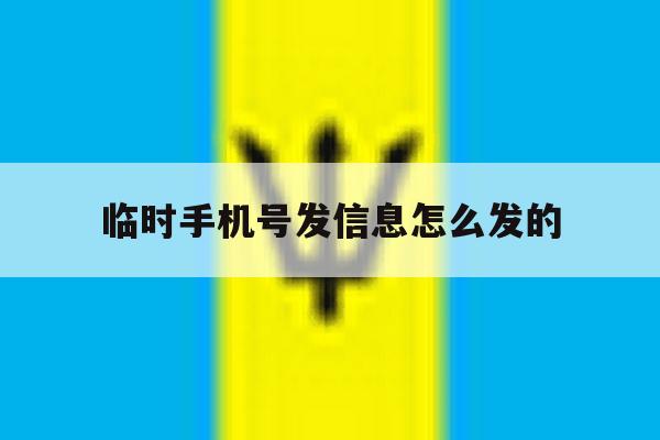 临时手机号发信息怎么发的 临时手机号发信息怎么发的
