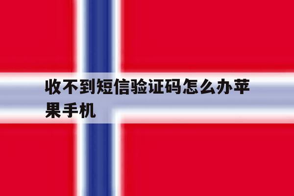 收不到短信验证码怎么办苹果手机 收不到短信验证码怎么办苹果手机