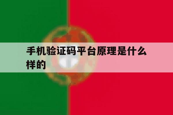 手机验证码平台原理是什么样的 手机验证码平台原理是什么样的