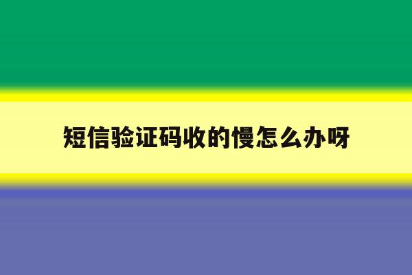 短信验证码收的慢怎么办呀 短信验证码收的慢怎么办呀