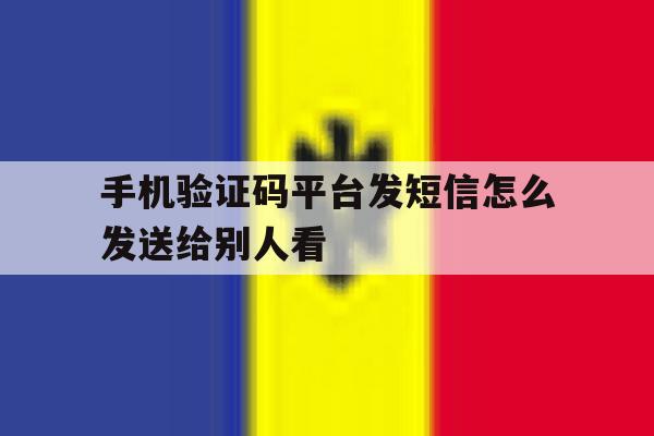 手机验证码平台发短信怎么发送给别人看 手机验证码平台发短信怎么发送给别人看