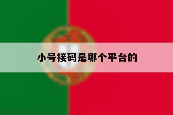 小号接码是哪个平台的 小号接码是哪个平台的