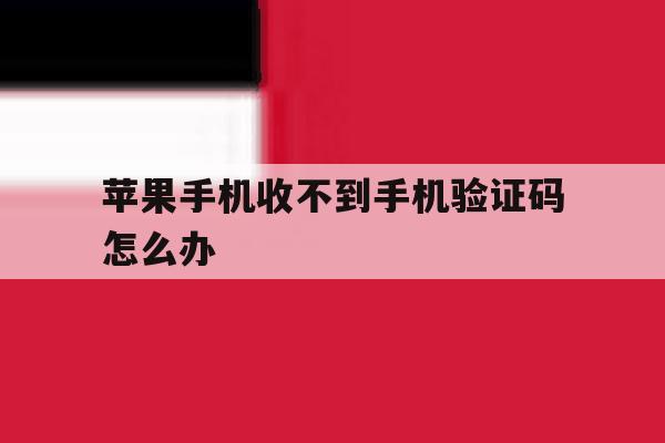 苹果手机收不到手机验证码怎么办 苹果手机收不到手机验证码怎么办