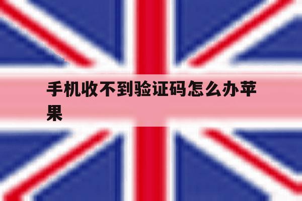 手机收不到验证码怎么办苹果 手机收不到验证码怎么办苹果