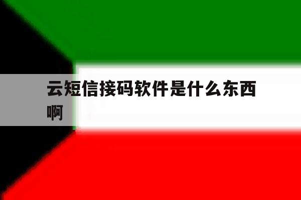 云短信接码软件是什么东西啊 云短信接码软件是什么东西啊