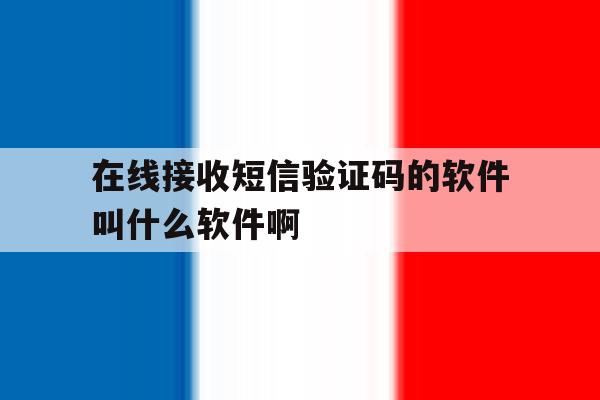 在线接收短信验证码的软件叫什么软件啊 在线接收短信验证码的软件叫什么软件啊